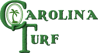 Carolina turf lawn and landscape Logo